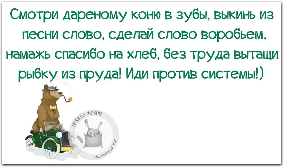 Дареному коню в зубы не смотрят картинки