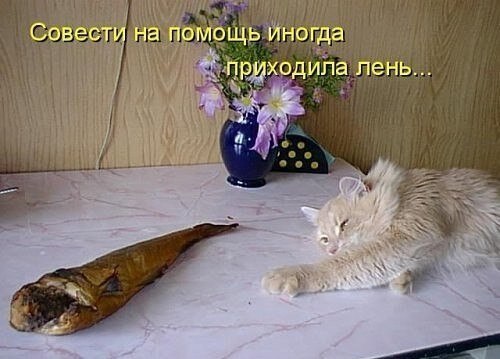 2909307088.jpg