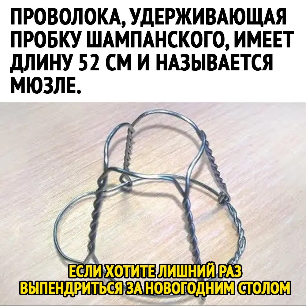 металлическая проволока от шампанского. проволока мюзле для пробки. проволочная крышка на шампанском. мюзле прикол. проволока мюзле для пробки.