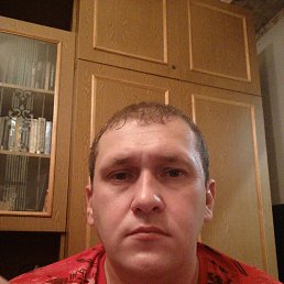 Алексей, 38 лет, Щекино