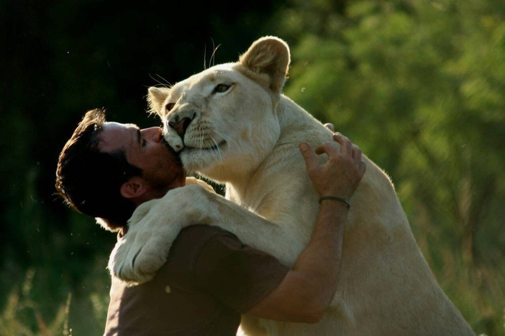 Kevin Richardson долго изuчал средu обитания диких животных, прежде чем влиться в это окрuжение. Для ... - 6