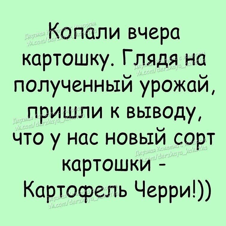 Гы гы приколы. Гы гы приколы анекдоты. Анекдоты без комплексов. Гы гы приколы бесплатно с надписями.