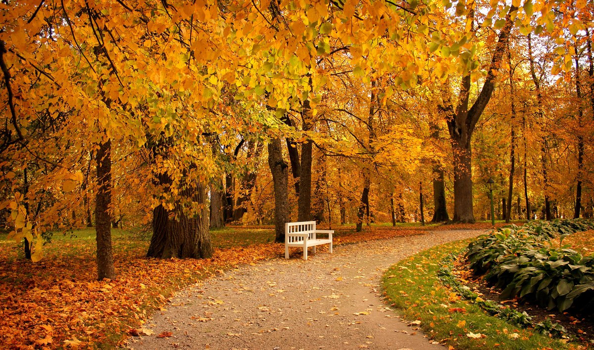 Осень в Михайловском Пушкин
