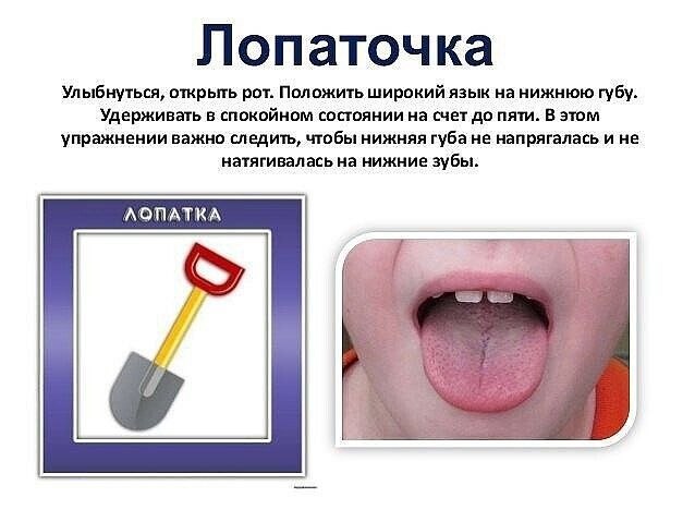 Рисунок языка для детей для логопедов