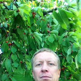 , 42 , 