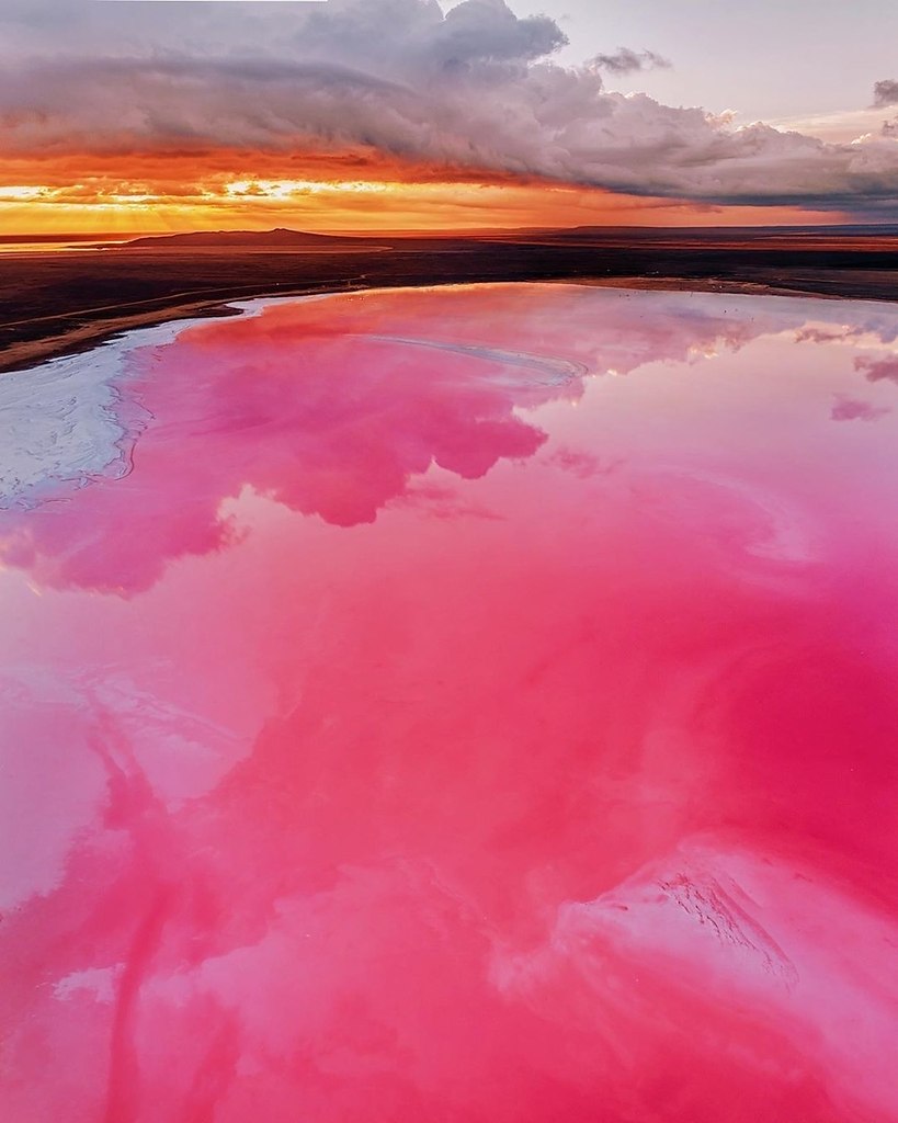 Крым соленое озеро розовое