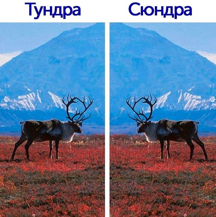 Туда сюда картинка