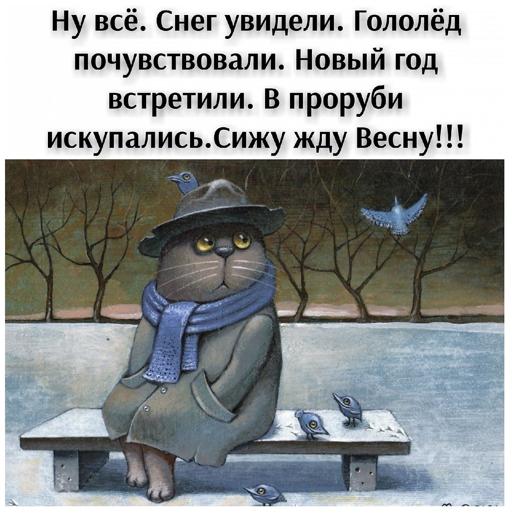 Сижу жду чуда картинки