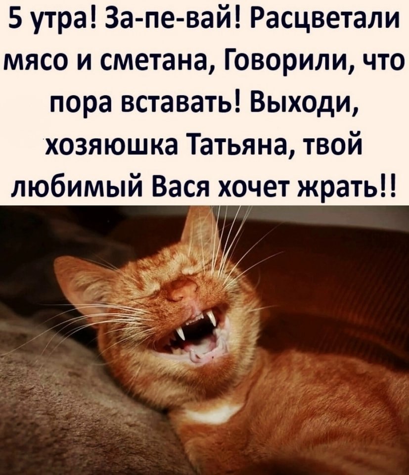 я люблю васю картинки