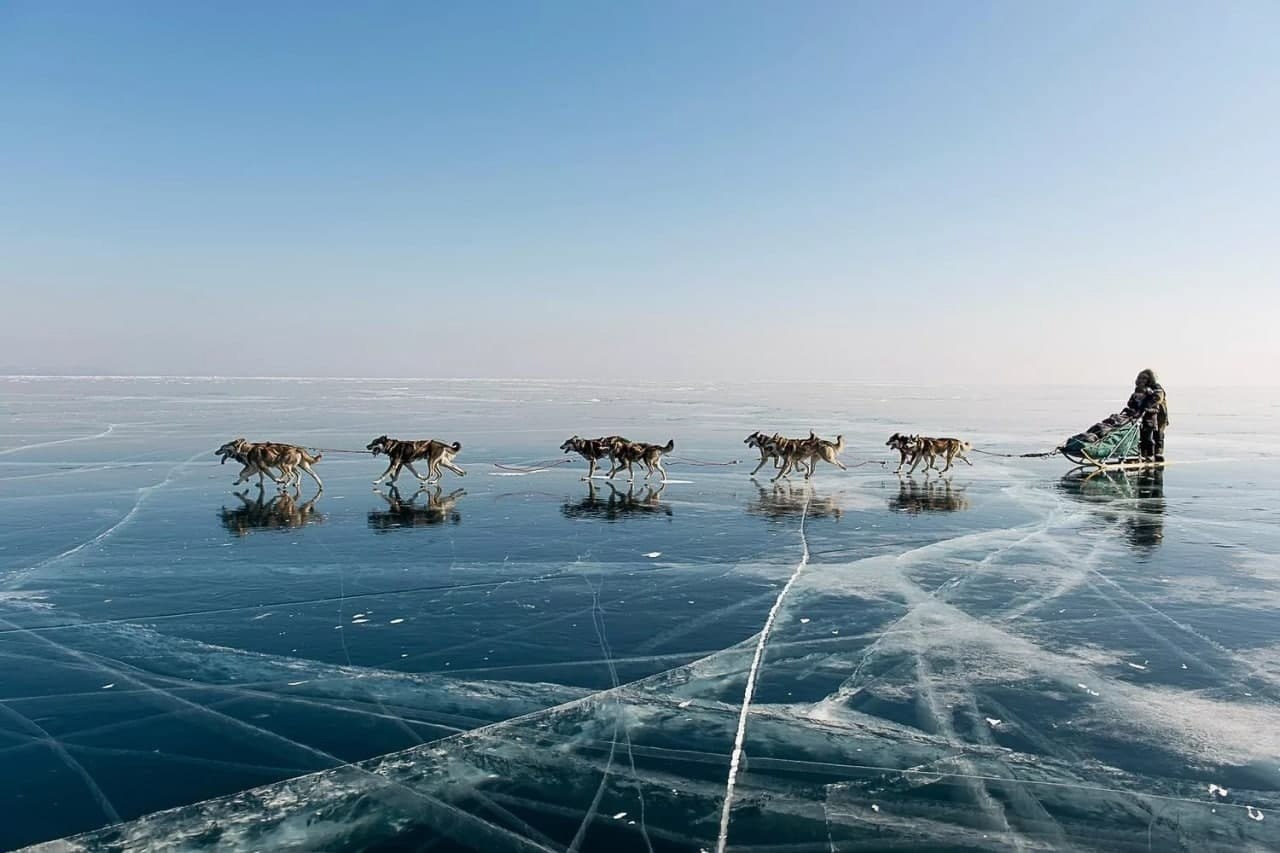 Байкал зимой собаки