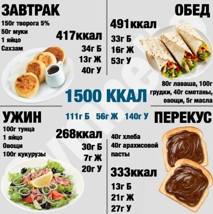 План питания 1500 ккал в день