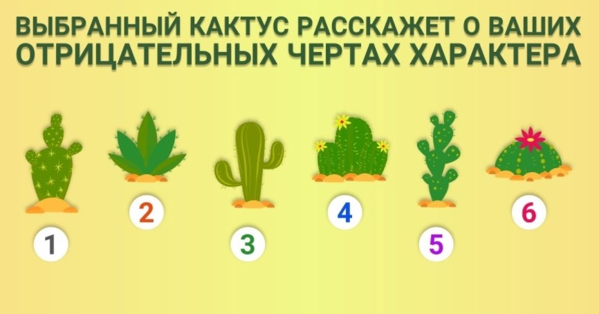 Кактус расшифровка рисунка