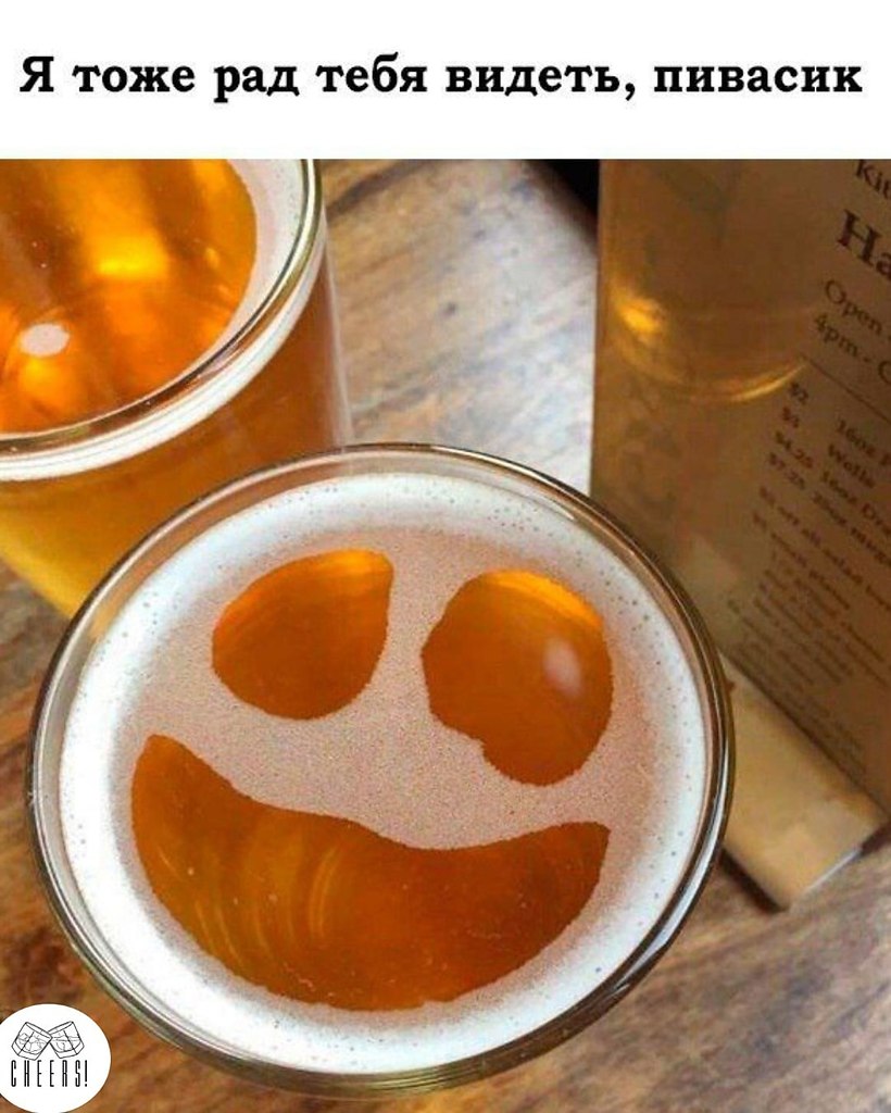 Я тоже рад тебя видеть пивасик