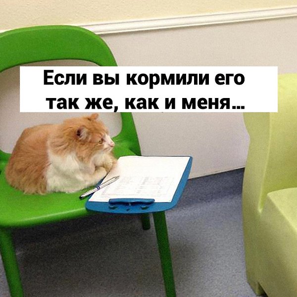 Человек стрелочник. Кот психолог картинки. Кот психолог. Три дня дождя обложка. Вопрос карикатура.