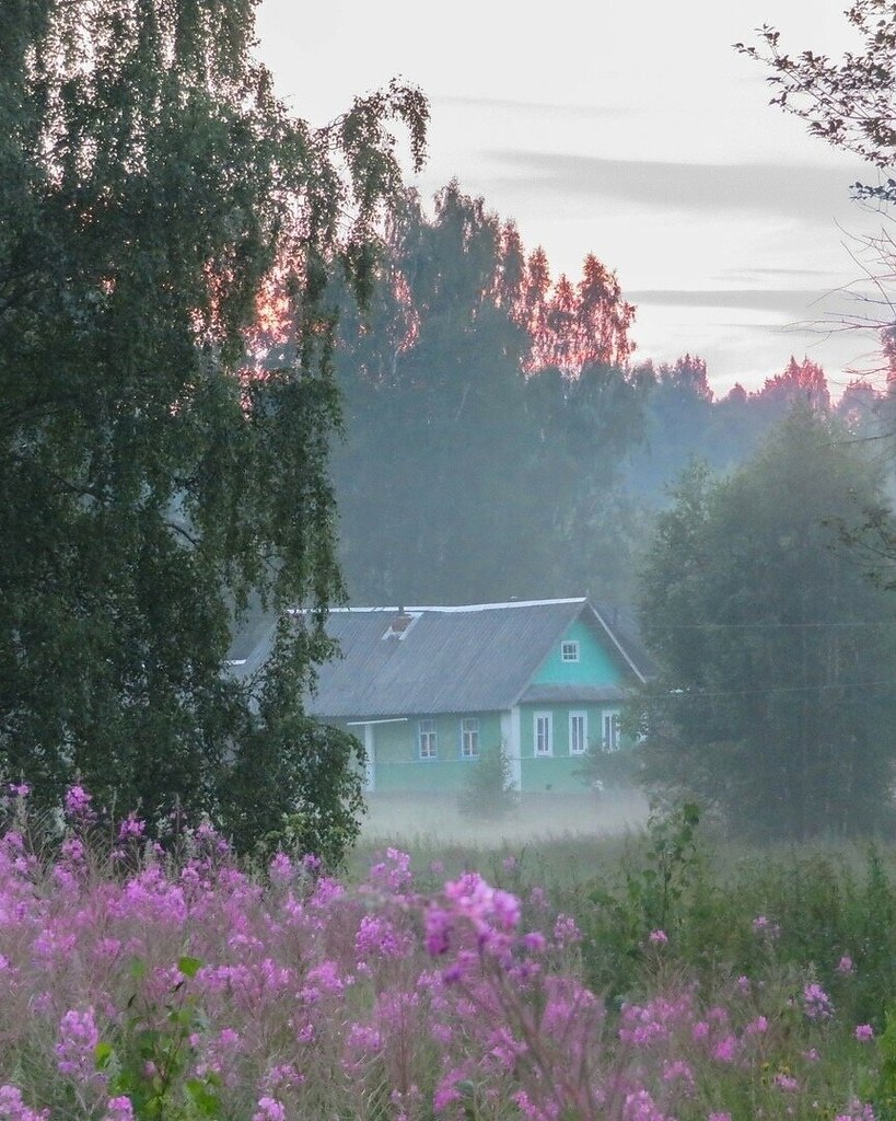 Фото эстетика лето деревня