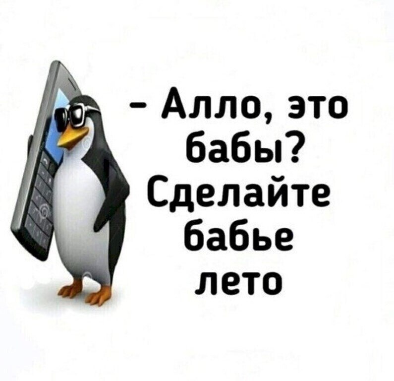 Алло прикольные картинки