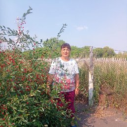 Татьяна, 61 год, Курган