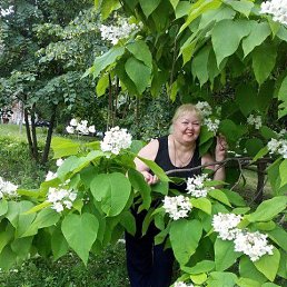 Людмила, 66 лет, Балашов
