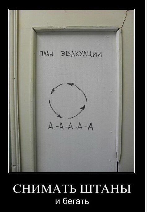 2940221186.jpg