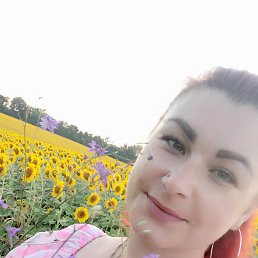 , 33 ,  