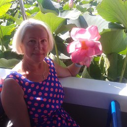 , 63 , 