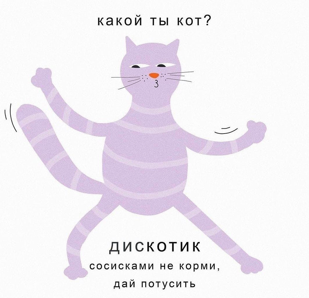 Кот в плане