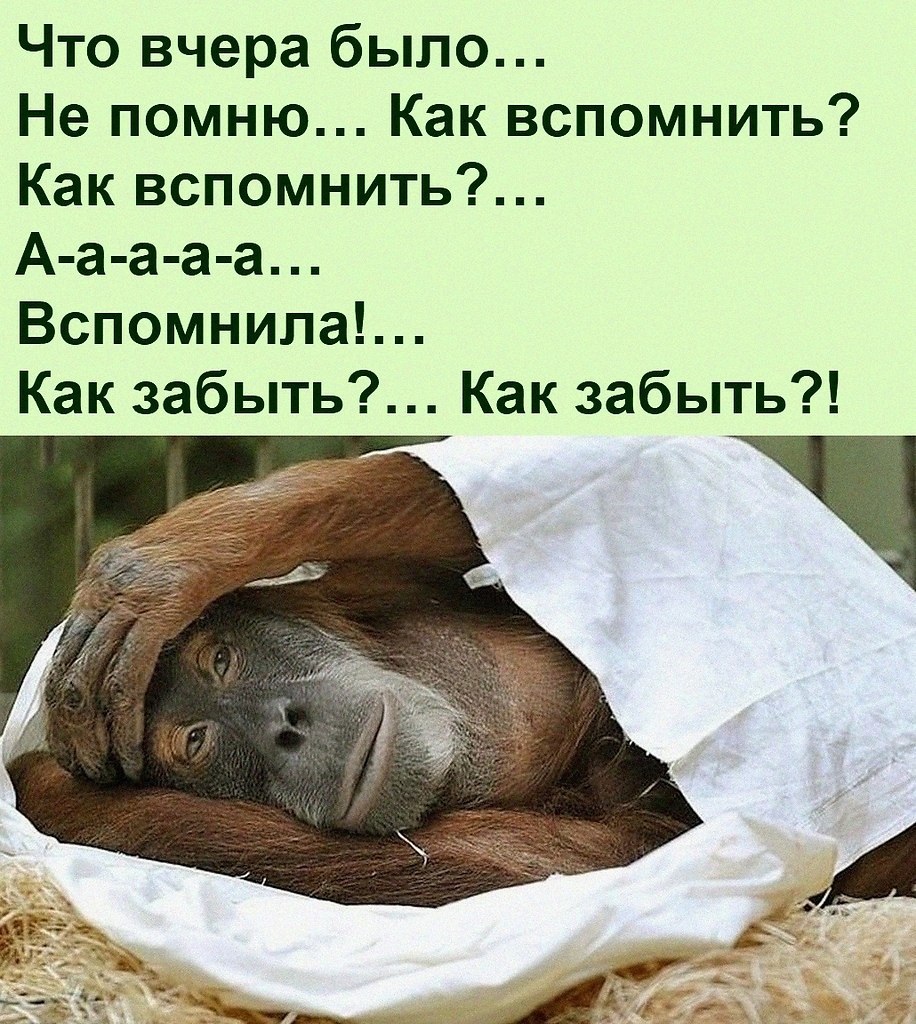 Вот и все это было вчера картинки