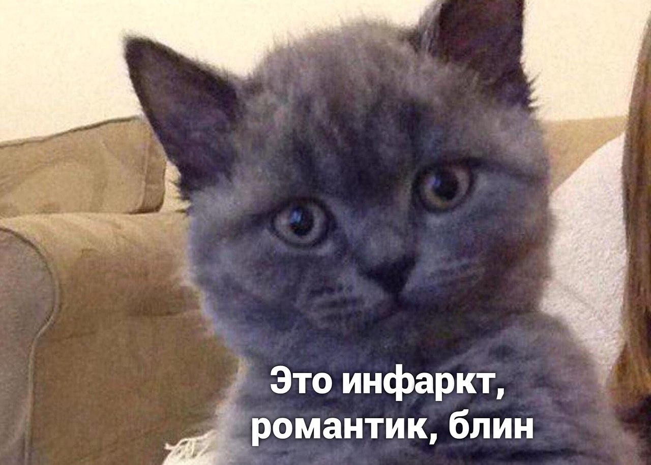 Тут кота