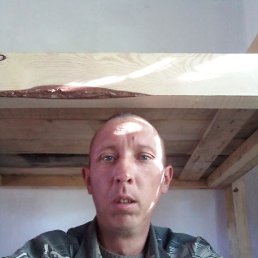 Александр, 39 лет, Житомир