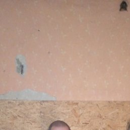 , 40 , 