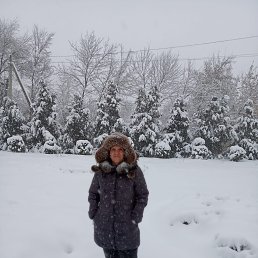 , 56 , 