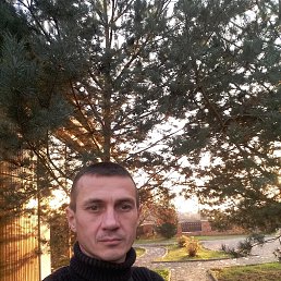 Denis, 42 года, Тячев