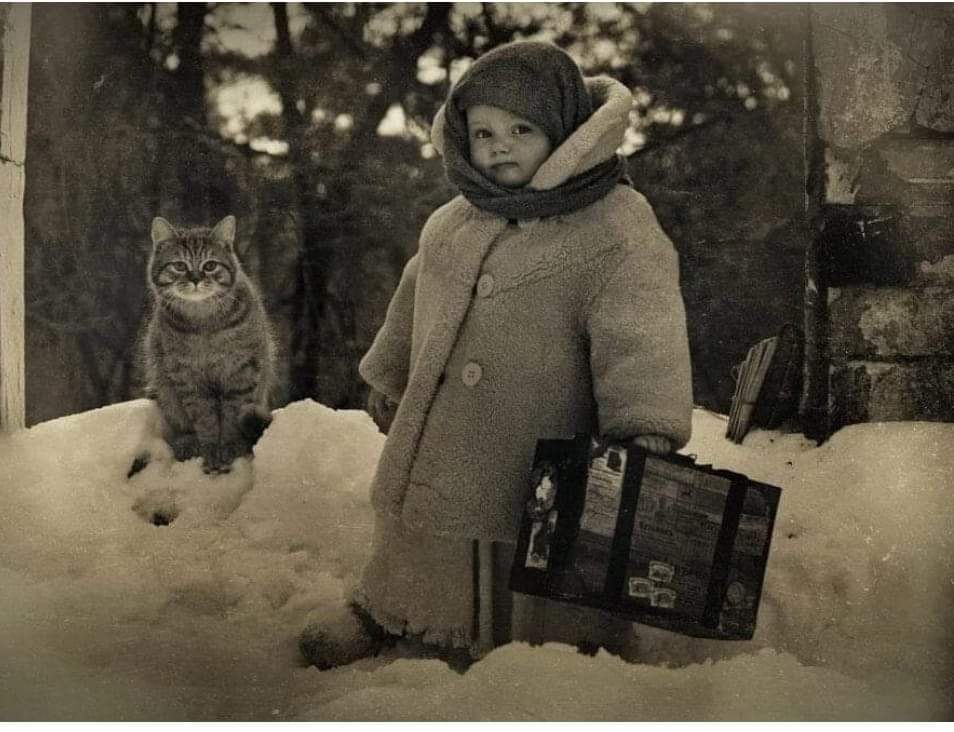 Забытая девочка. Олег Ярунин фотограф. Олег Ярунин девочка с котом. Илья Ярунин. Ярунин Олег Тольятти.