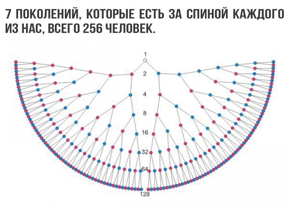 Крылья рода фото