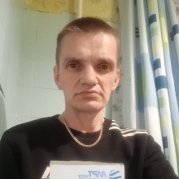 Дмитрий, 47 лет, Пущино