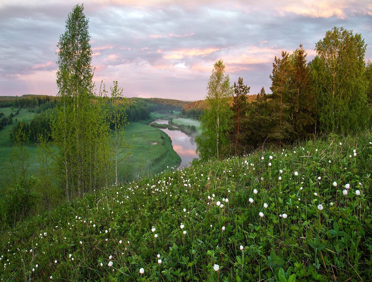 Краски жизни картинки