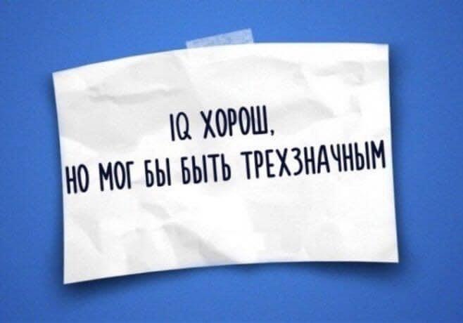 Прошу верить. Смешные одностишья Натальи Резник. Одностишия. Юмористические одностишия. Одностишья в картинках.