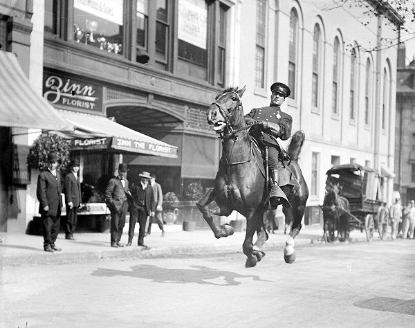 Конный полицейский на Тремонт-стрит в Бостоне (1920 г.) (Фотограф: Лесли Дж...