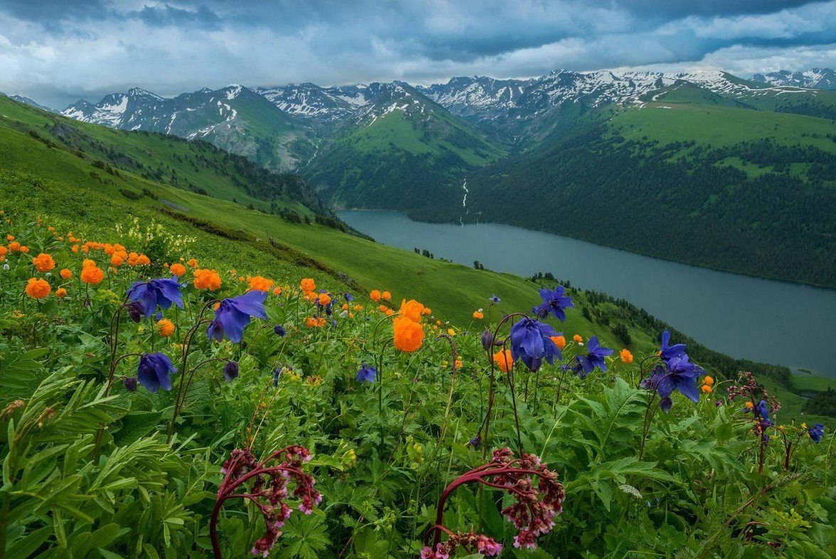 Проект красота природы россии