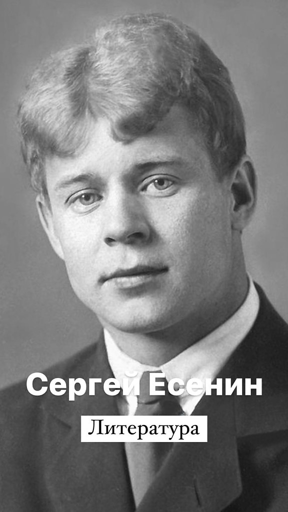 Есенин много кошек. Стихи Есенина. Бокал с Сергеем Есениным. Есенин сиротка стих. Стихотворение Есенине Королева.