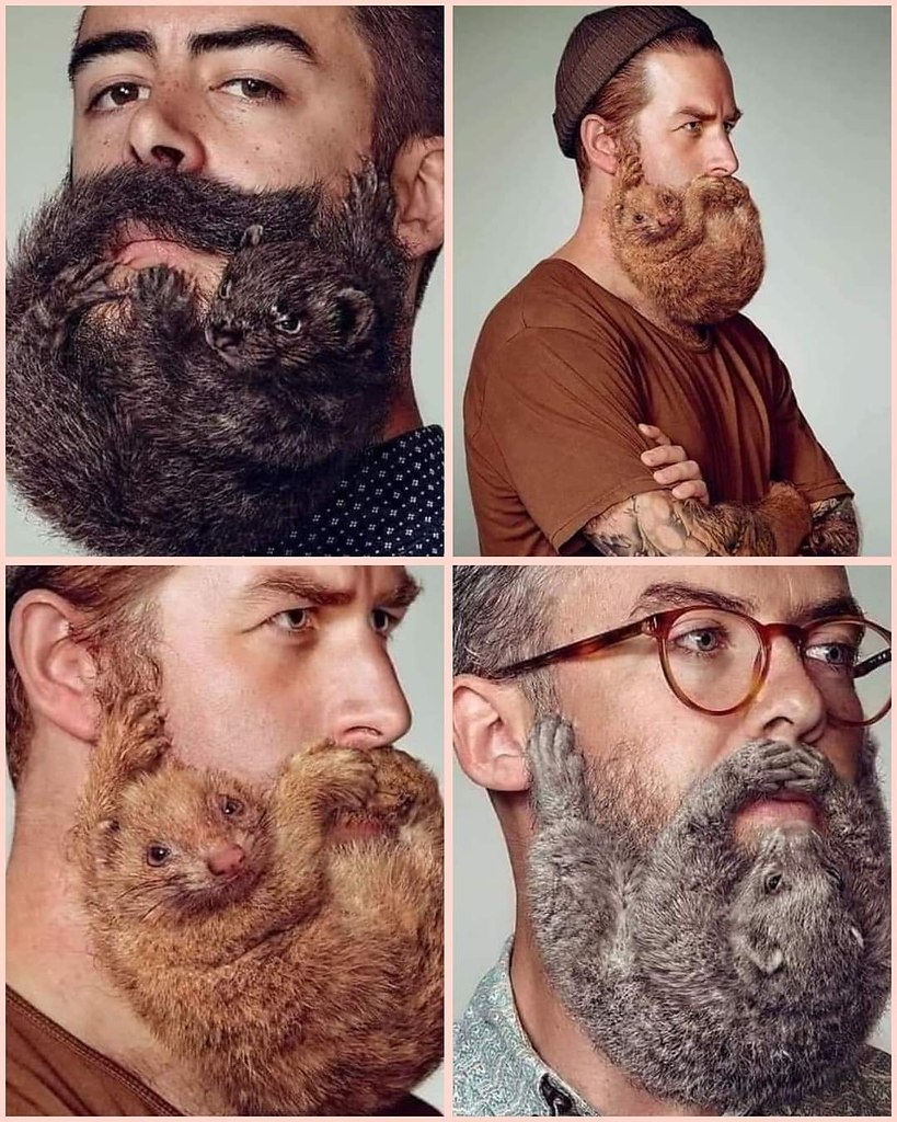 Борода с усами