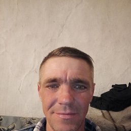 Алекс, 41 год, Житомир