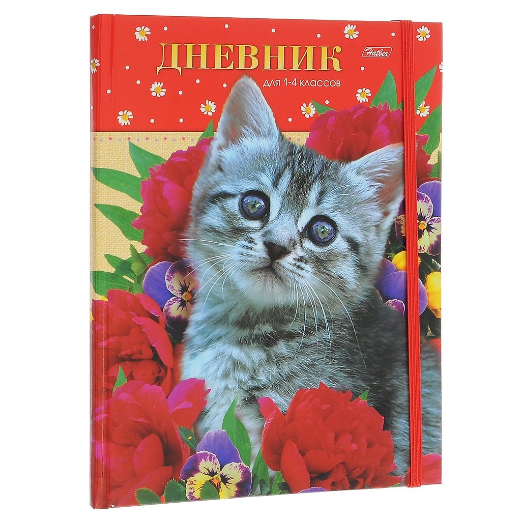 Красный дневник. Дневник с котятами для школы. Дневник школьный с котенком. Дневник с кошкой. Дневник с кошкой для школы.