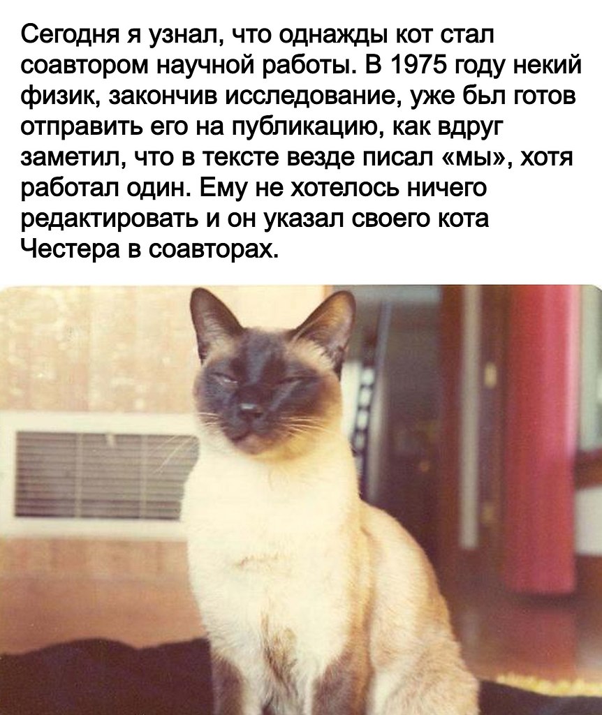 I just finish writing