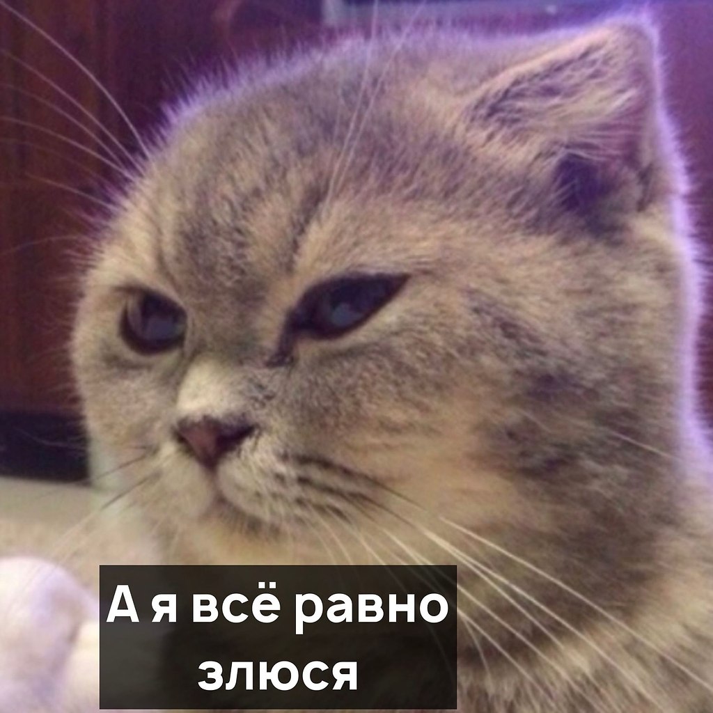 Я злюсь картинки