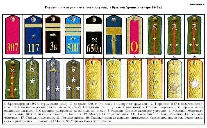 Все звания в армии ссср по порядку с картинками