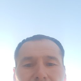 , 40 , 