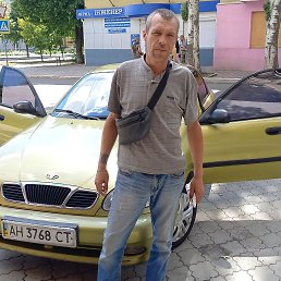 , 43 , 
