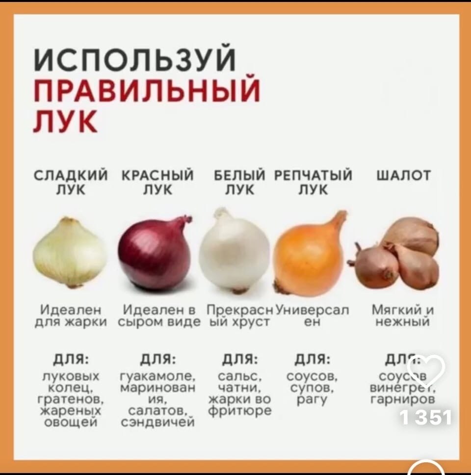 Можно ли похудеть если есть лук репчатый сырой быстро