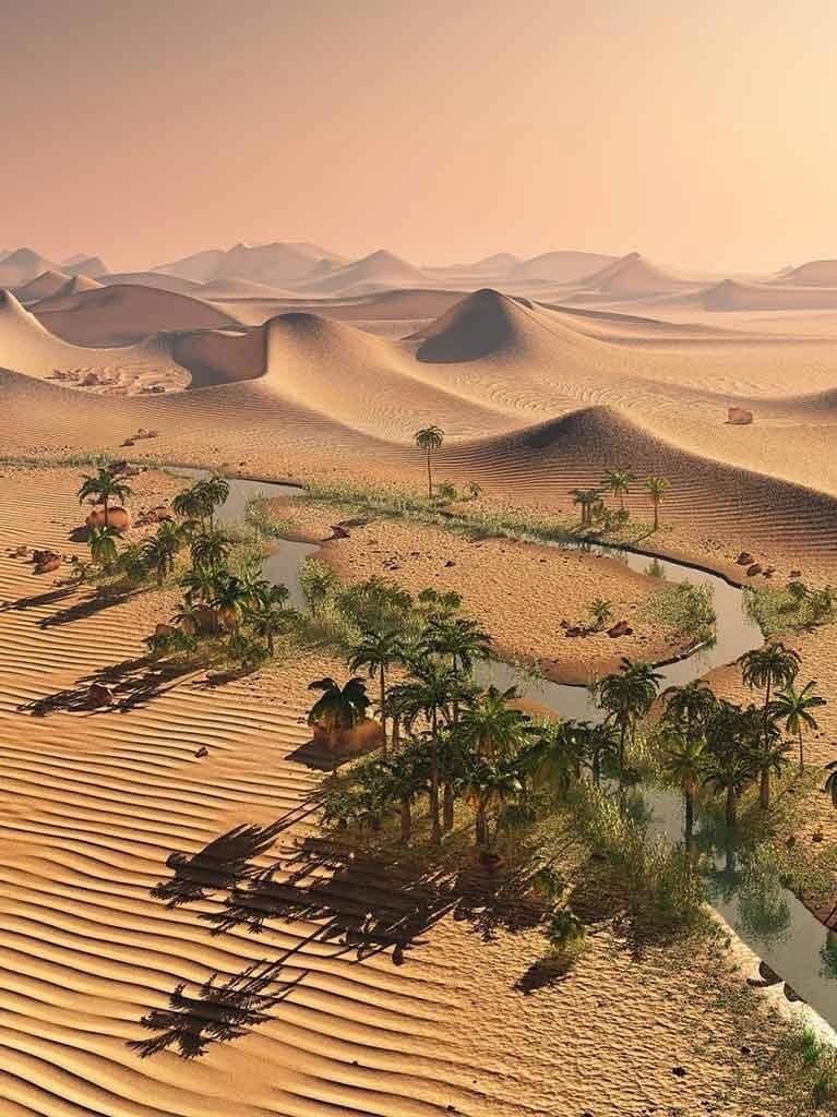 Тайны что хранит пустыня 2023. Бесконечная пустыня. Тайны что хранит пустыня 2023. Mk3 пустыня. Море аравия намибия.